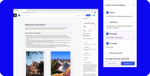 marketgoo content optimization dashboard