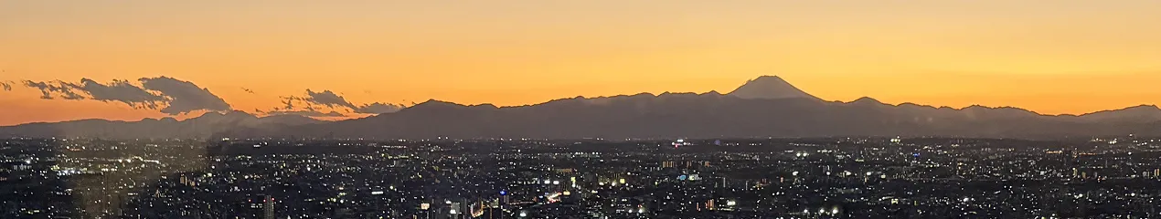 Tokyo skyline at dusk with mount Fuji in the background